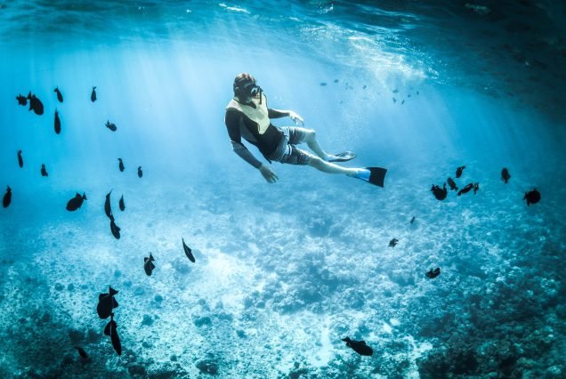 DIVING IN TOFO