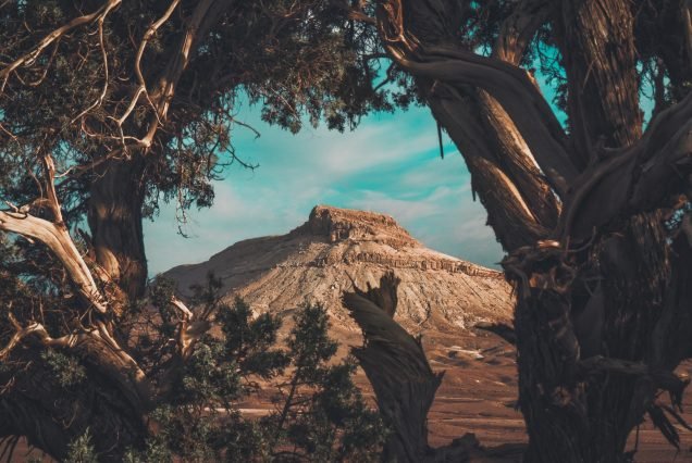 ALGERIAN SAHARA TOUR