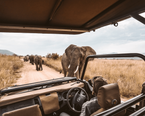 Samburu National Reserve Travel Guide