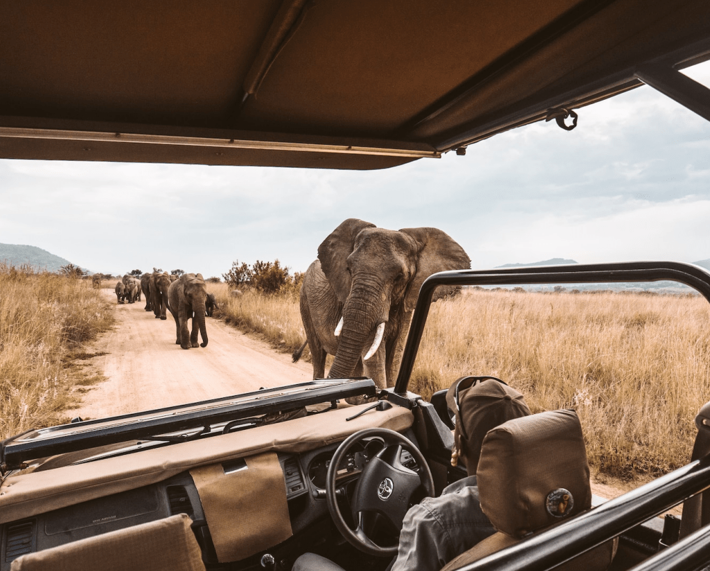 Samburu National Reserve Travel Guide: Wild, Untamed, Unforgettable